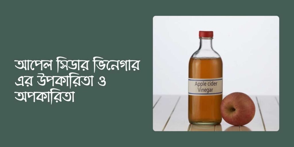 আপেল সিডার ভিনেগার এর উপকারিতা ও অপকারিতা