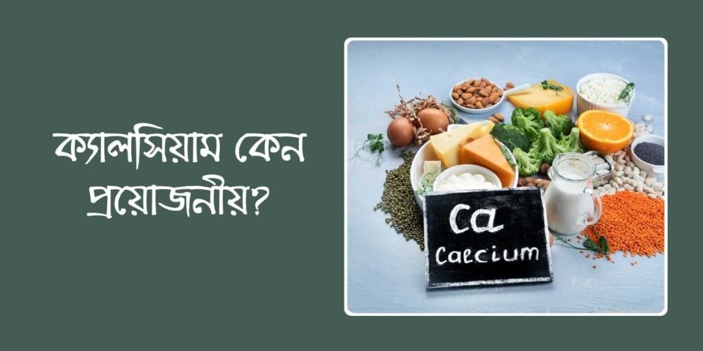 ক্যালসিয়াম কেন প্রয়োজনীয়?