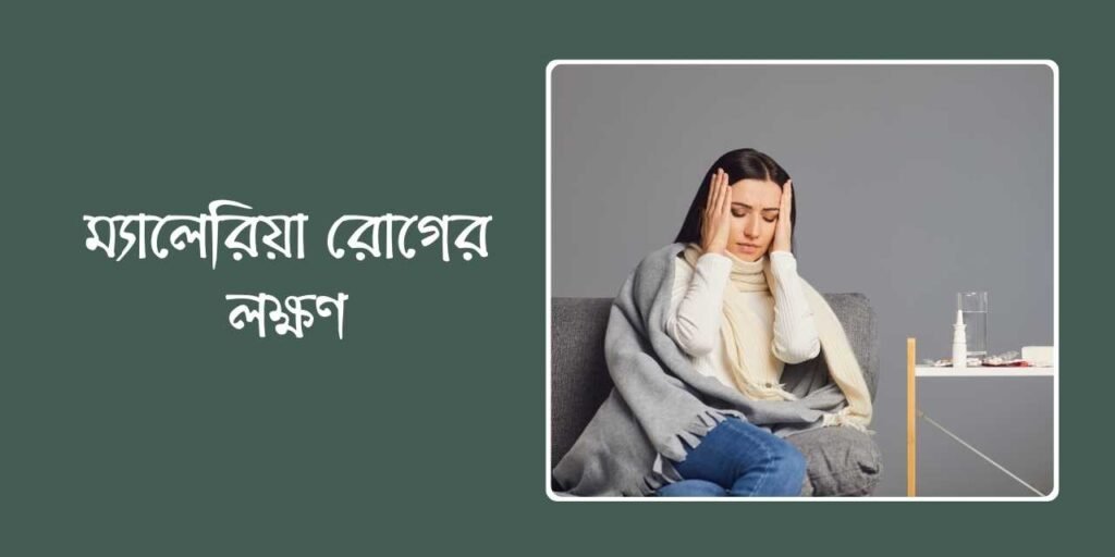 ম্যালেরিয়া রোগের লক্ষণ