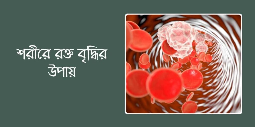 শরীরে রক্ত বৃদ্ধির উপায়